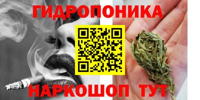 шишки Наро-Фоминск