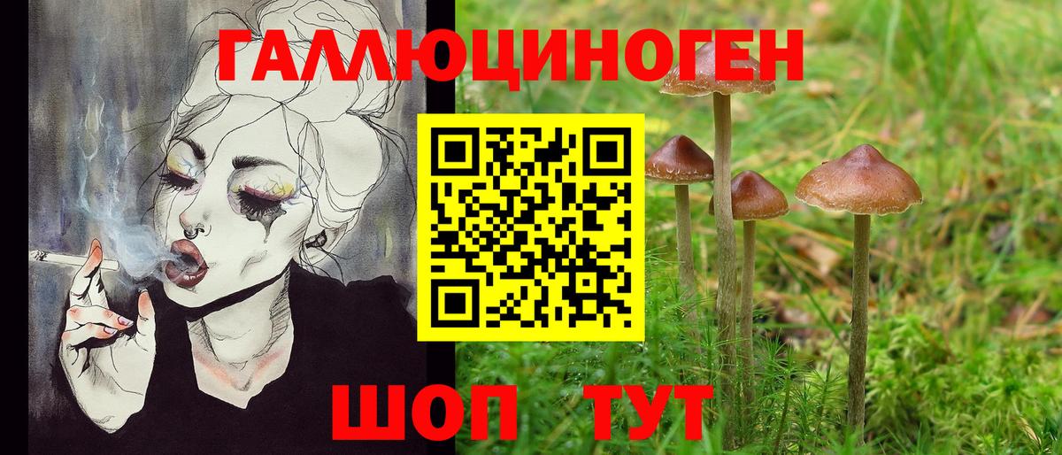 Псилоцибиновые грибы мицелий Северобайкальск